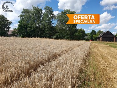 Działka 3,2 ha z widokiem na góry, teren budowlany działka Chocznia, Stawy