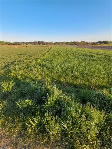Na sprzedaż dwie działki budowlane 1103 i 1353 m² w Stobno Wieś działka Godziesze Wielkie, Stobno Wieś