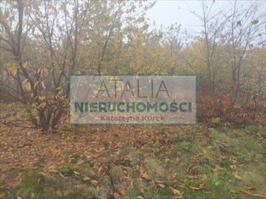 Działka 1120 m² w Kaniach z mediami i możliwością dokupu działka Kanie