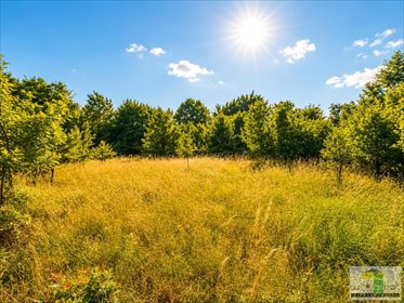 Na sprzedaż działka 1575 m² w Pszenno - idealna pod dom! działka Pszenno