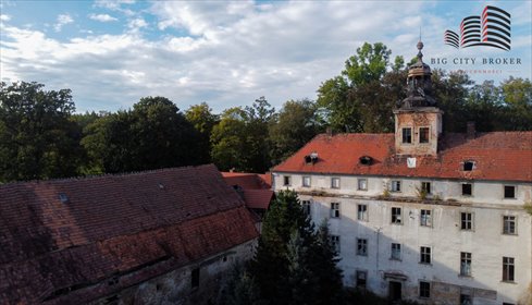 lokal użytkowy na sprzedaż 3500m2 lokal użytkowy Dziwiszów, Dębowa