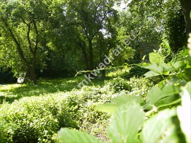 Działka budowlana na sprzedaż Pruszków, Tworki 985m2 Foto 3