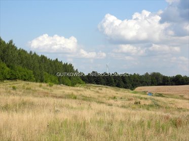 działka na sprzedaż 5621m2 działka Lekarty