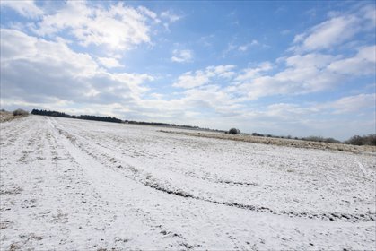 działka na sprzedaż 5967m2 działka Smolęcin