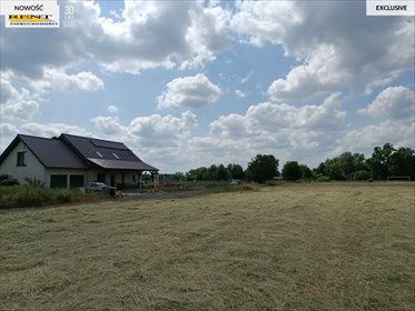 działka na sprzedaż 1053m2 działka Stargard