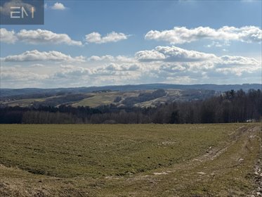 Widokowe działki w Zagorzycach - 3300 m², spokojna okolica. działka Zagorzyce