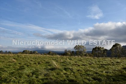 działka na sprzedaż 23800m2 działka Lutowiska, Lutowiska