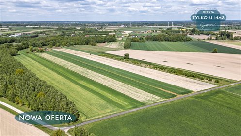 działka na sprzedaż 26200m2 działka Przymiłów