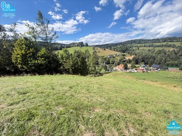 Sprzedam działkę 2500 m² w Łabowej z widokiem na góry działka Łabowa
