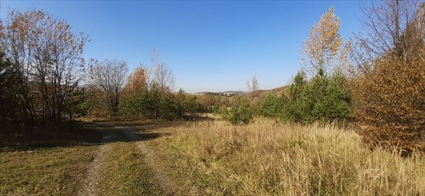 Działka inwestycyjna na sprzedaż Wysoczany 10 000m2 Foto 3
