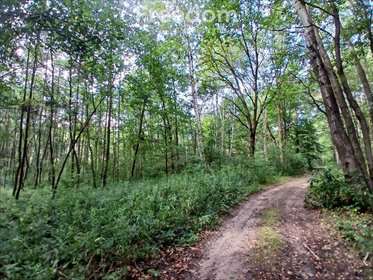 działka na sprzedaż 1900m2 działka Rakszawa, Potok