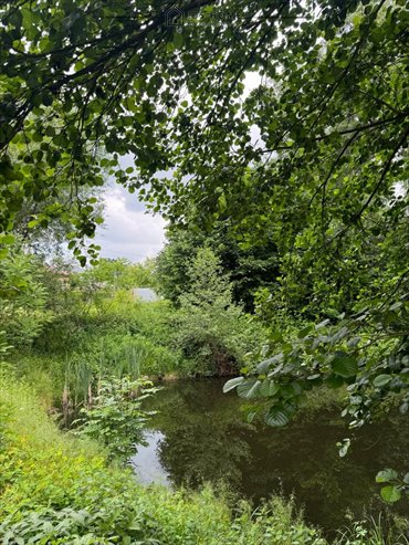 działka na sprzedaż 9621m2 działka Dąbrowa Wronowska