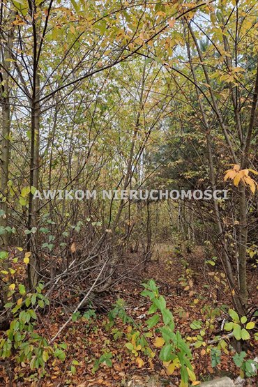 Atrakcyjna działka 1369 m² w Chylicach - polecam! działka Jaktorów, Chylice