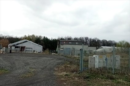 działka na wynajem 1200m2 działka Byków