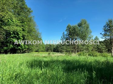 Działka 32 825 m² z lasem, Wały, Nidzica. działka Nidzica, Wały