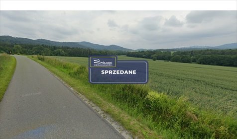 działka na sprzedaż 13000m2 działka Jaszkowa Dolna