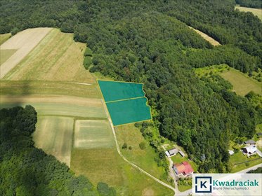 działka na sprzedaż 4527m2 działka Lalin