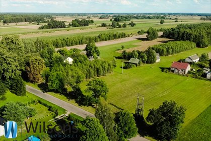 Działka budowlana na sprzedaż Dębe 9 800m2 Foto 3