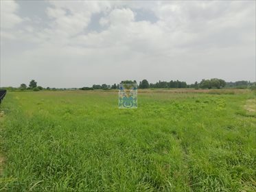 Działka budowlana na sprzedaż Ochodza 5 146m2 Foto 5