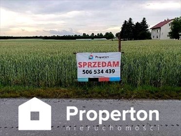 Działka 7000 m² z mediami i asfaltowym wjazdem działka Ziółków