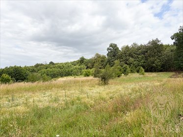 Przestronna działka rolna 3,76 ha w Kozy. działka Kozy