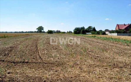 Działka rolna na sprzedaż Piersna, Piersna 4 400m2 Foto 4