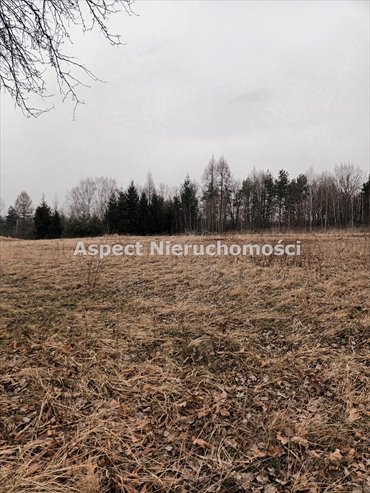 Działka budowlana na sprzedaż Rybnik, Popielów 2 534m2 Foto 3