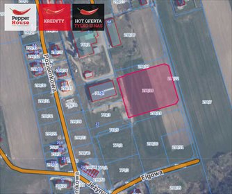 działka na sprzedaż 6133m2 działka Kochanowo