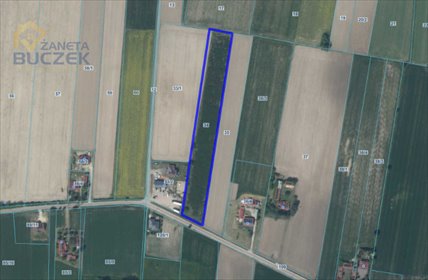 działka na sprzedaż 11000m2 działka Mikołajew, Stary Mikołajew