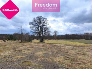 Działka budowlana na sprzedaż Ldzań 3 000m2 Foto 1
