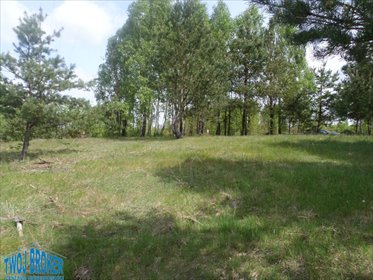 działka na sprzedaż 1049m2 działka Trzebuń