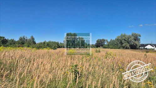 działka na sprzedaż 1030m2 działka Brzezie K. Sulechowa