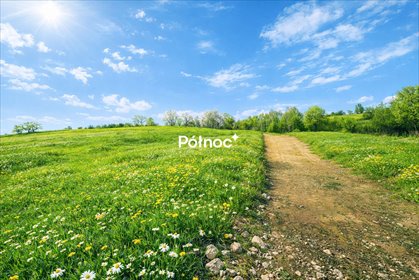 działka na sprzedaż 1467m2 działka Michałowice, Mały Kraków