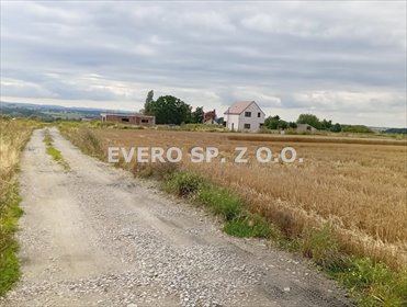 Malownicza działka 2100 m² z widokiem na Ślężę - prąd i woda działka Tąpadła, TĄPADŁA - DZIAŁKI BUDOWLANE - prąd i woda