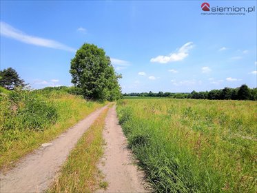 działka na sprzedaż 717m2 działka Piekary Śląskie, Dąbrówka Wielka