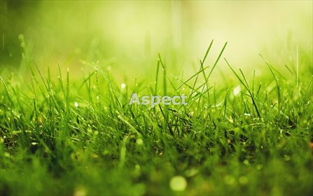 działka na sprzedaż 5631m2 działka Rybnik, Kamień pod Rzędówką