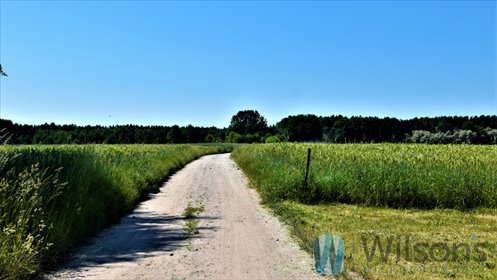 Duża działka 6112 m² z mediami, blisko lasu - polecam! działka Kuligów, Wojska Polskiego