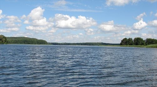 Malownicza działka 1115 m² pod zabudowę w Dąbrowicy polecam działka Dąbrowica
