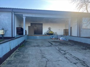 Lokal użytkowy na wynajem Wieliszew, Wieliszew 1 200m2 Foto 3