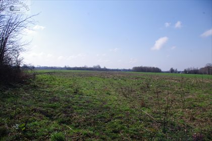 Dom na sprzedaż Garczyn Duży 80m2 Foto 7