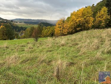 działka na sprzedaż 1500m2 działka Stara Wieś