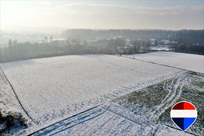 Działka budowlana 985 m2 w Czarkowie – spokojna okolica działka Czarków, Kościelna
