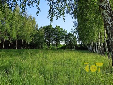 Działka budowlana na sprzedaż Słomczyn, Wilanowska 2 444m2 Foto 2