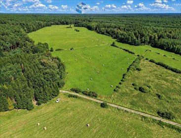Polecam działki rolne 3,14 ha w Liwie za 94 200 zł działka Liwa