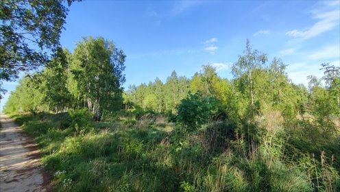 Działka 900 m² pod dom w cichej okolicy, prąd i woda działka Łagiewniki Nowe, Słoneczna