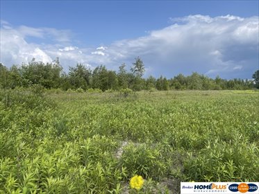 działka na sprzedaż 22000m2 działka Ciemne