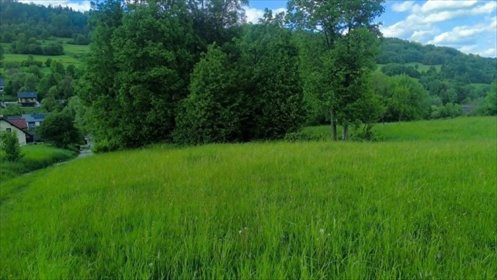 Działka 1000 m2 pod zabudowę w Szarej, spokojna okolica działka Szare