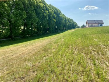 Działka budowlana na sprzedaż Łapino Kartuskie 1 500m2 Foto 4