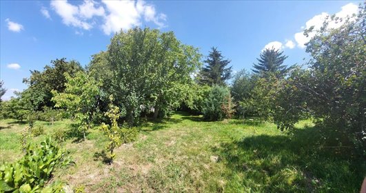 działka na sprzedaż 1500m2 działka Gutanów