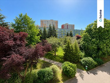 Sprzedam funkcjonalne 3-pokojowe mieszkanie 46,9 m² z balkonem mieszkanie Poznań, os. Pod Lipami